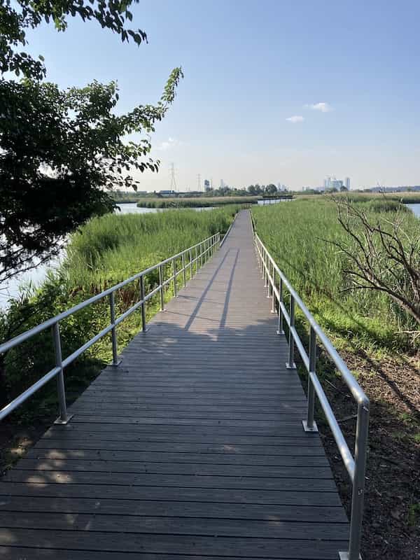 image of repaired Marsh Discovery Trail