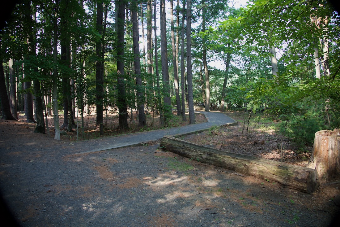 Accessible Trail at the G. Thomas Donch Nature Preserve
