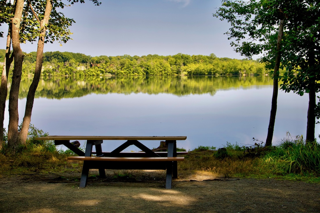 photo of an accessible  park bench