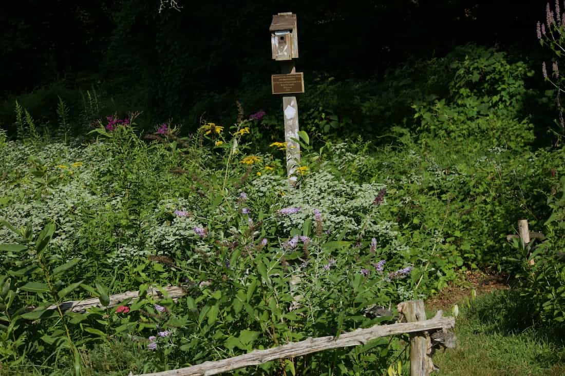image of a butterfly garden at the celery farm