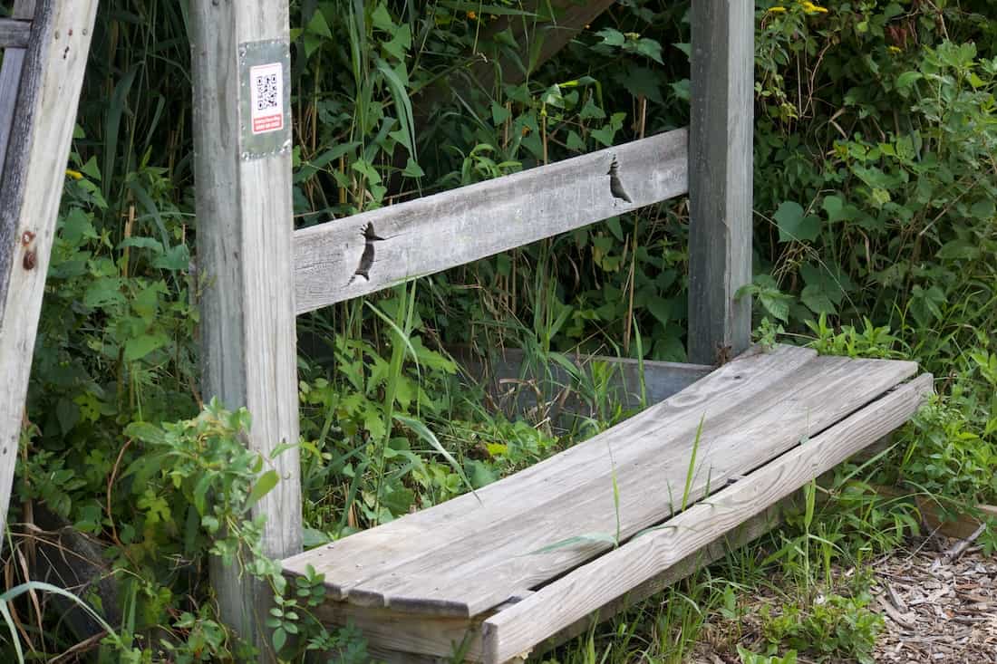 image of a viewing platform at the celery farm