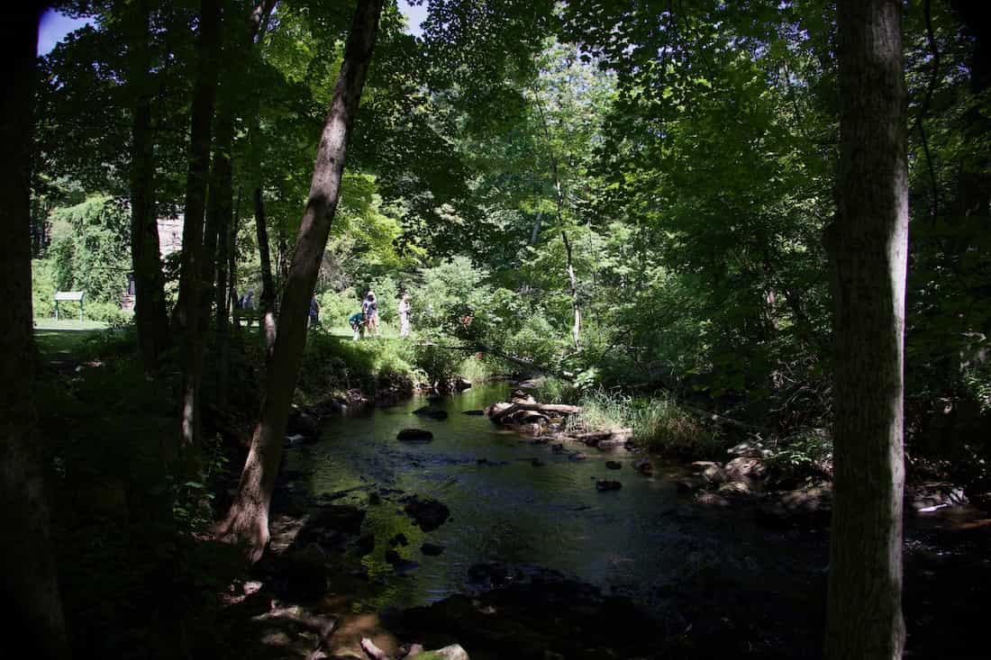 image of a stream