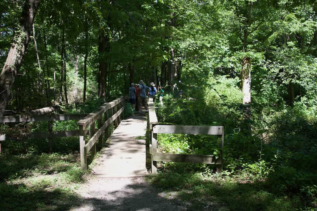 image of an access bridge