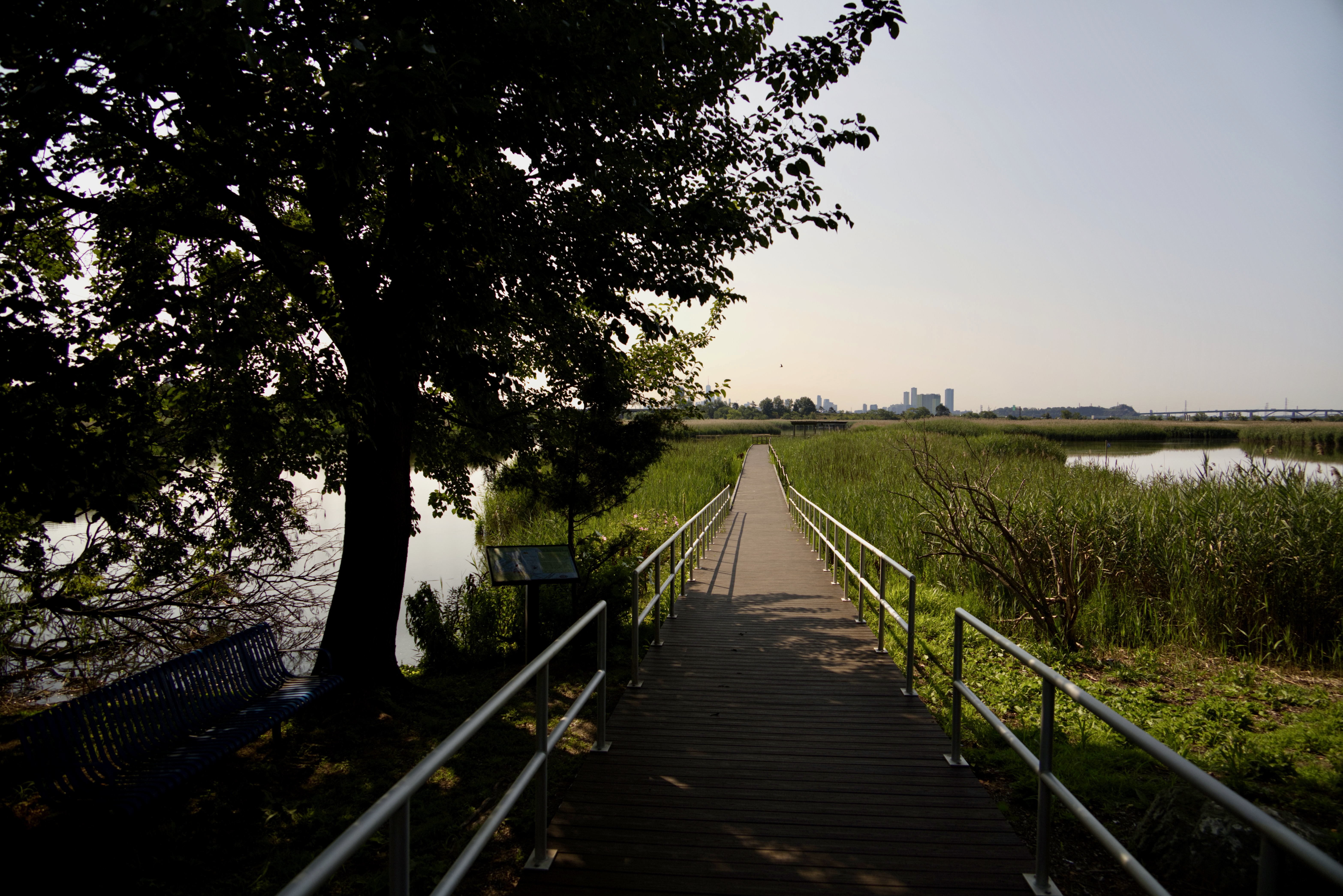 image of a boardwalk at Dekorte Park