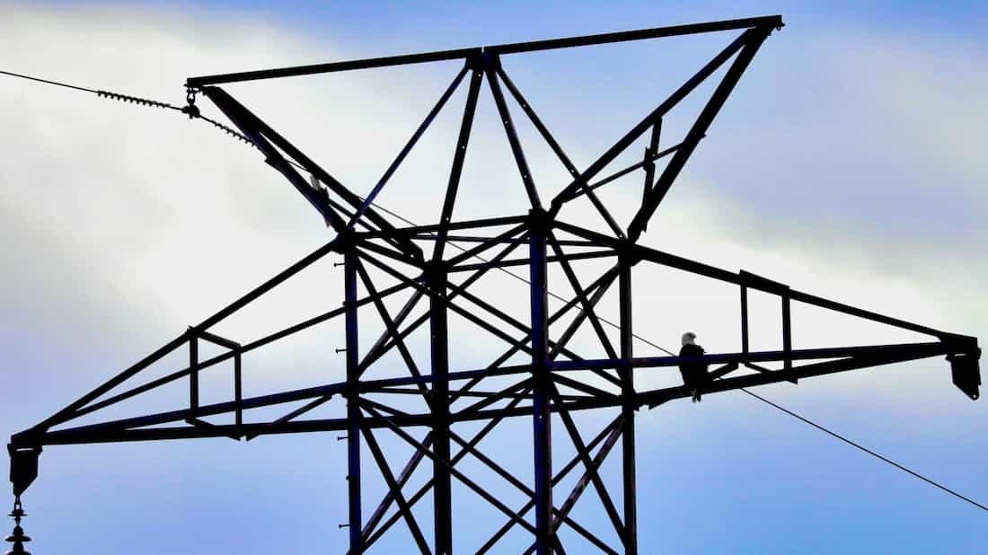 image of american eagle in a transmission tower