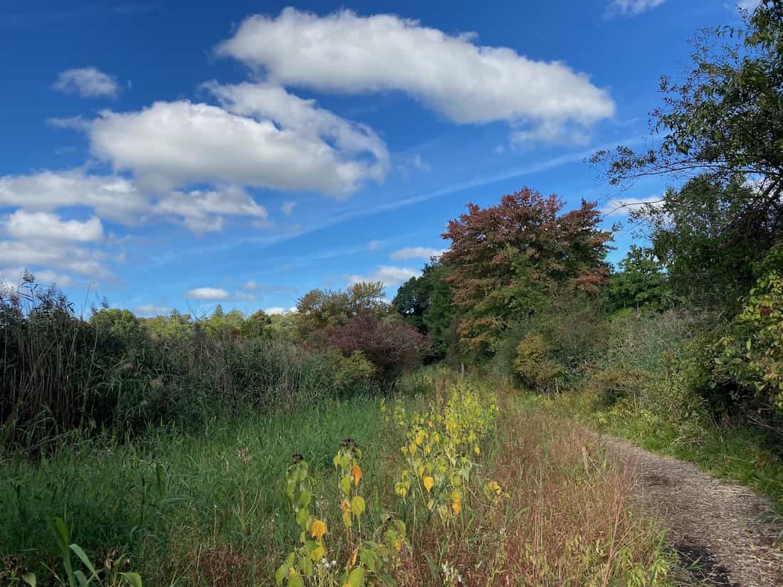 image of a field and sky