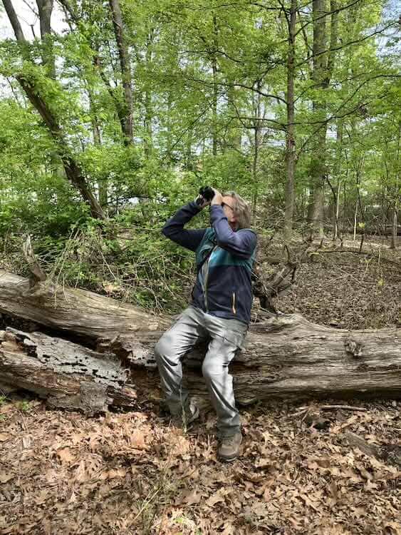The Lazy birder