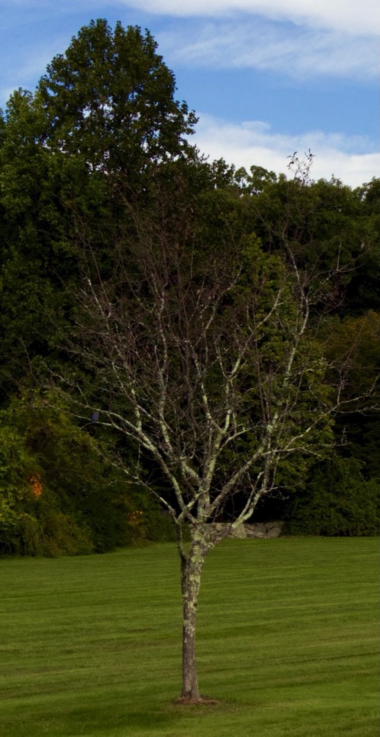 Stacks Image 1612